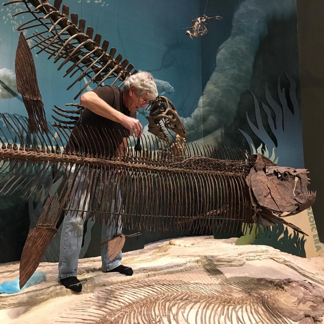 Sam Noble Museum - Norman-Oklahoma - Dinosaur - Gotcha